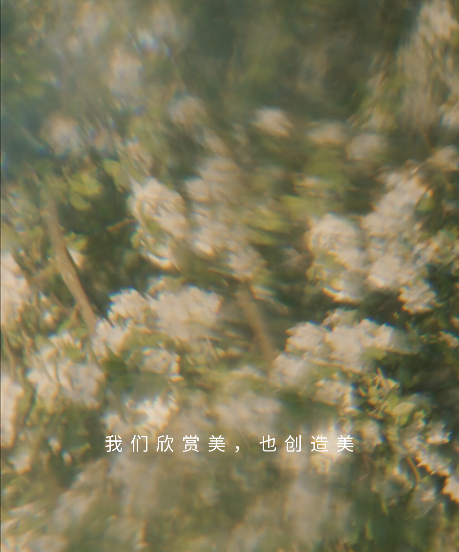 628b0c4fb8931211acd8a0e25cc3f77.png